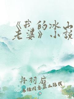 《我的冰山美女老婆》小说
