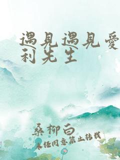 遇见遇见爱情的利先生