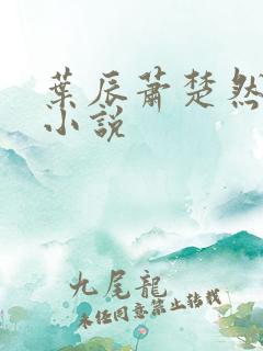 叶辰萧楚然免费小说