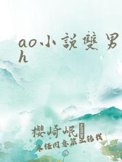 ao小说双男主h