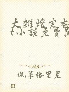 大杂烩完本txt小说免费阅读