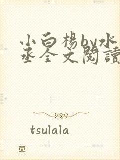 小白杨by水千丞全文阅读