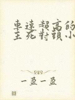 车速超高的双男主死对头小说