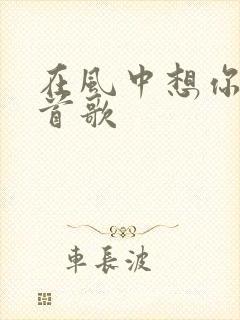 在风中想你是哪首歌
