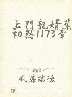 上门龙婿叶辰萧初然1173章