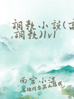 调教小说(高h,调教)1v1