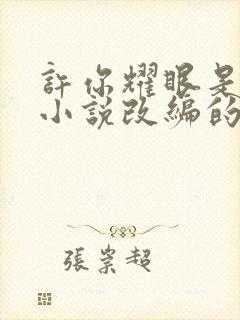 许你耀眼是哪部小说改编的