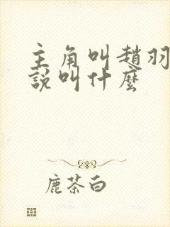 主角叫赵羽的小说叫什么