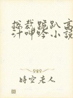 总裁跪趴高h喷汁呻吟小说