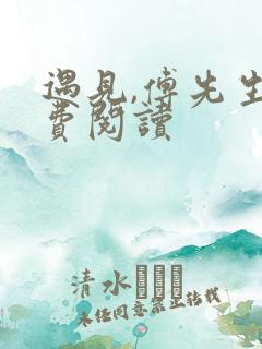 遇见,傅先生免费阅读