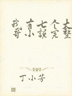 我有七个大佬哥哥小说完整版大结局