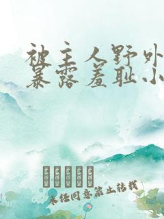 被主人野外调教暴露羞耻小说