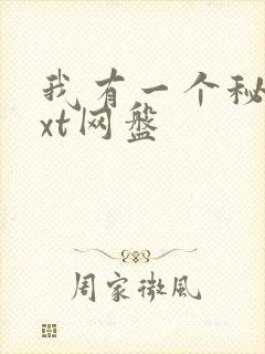 我有一个秘密txt网盘