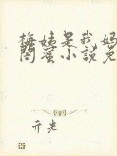 梅姨是我妈妈的闺蜜小说免费阅读