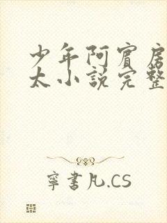 少年阿宾房东太太小说完整免费阅