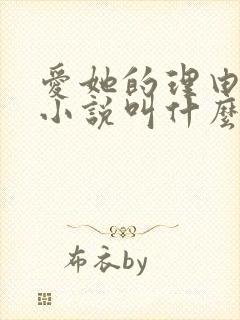 爱她的理由原著小说叫什么名字