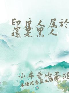 印度人属于白人还是黑人