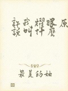 许我耀眼原著小说叫什么