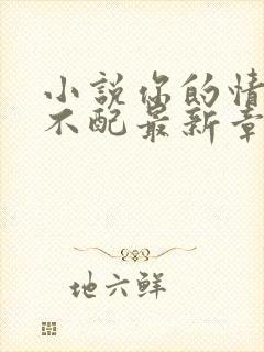 小说你的情深我不配最新章节