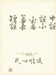 短篇小说中篇小说长篇小说怎么区分