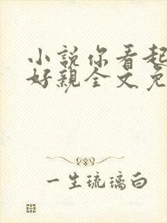 小说你看起来很好亲全文免费阅读