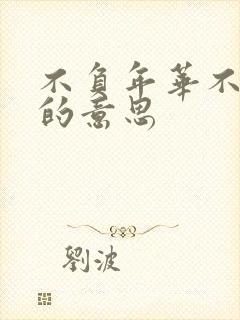 不负年华不负卿的意思