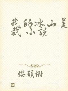 我的冰山美女总裁 小说