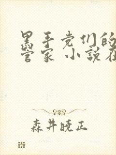 黑手党们的极品管家 小说在线阅读