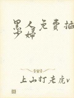 黑人免费插中国少妇