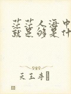 茫茫人海中有你就足够是什么歌名