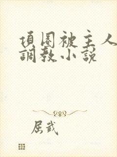 项圈被主人玩弄调教小说