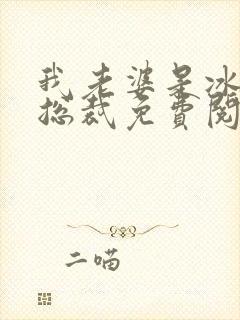 我老婆是冰山女总裁免费阅读