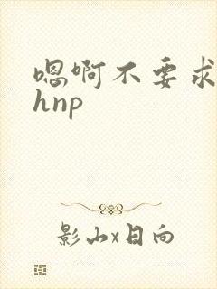 嗯啊不要求你高hnp