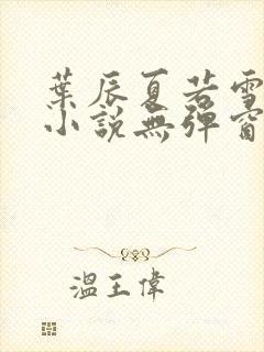 叶辰夏若雪孙怡小说无弹窗