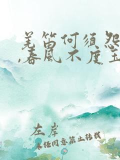 羌笛何须怨杨柳,春风不度玉门关意思