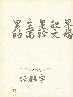 男主是政界大佬的高干文婚途