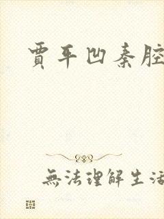 贾平凹秦腔后记