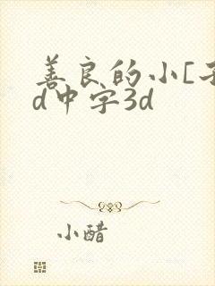 善良的小[子hd中字3d