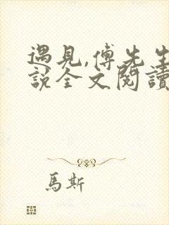 遇见,傅先生小说全文阅读