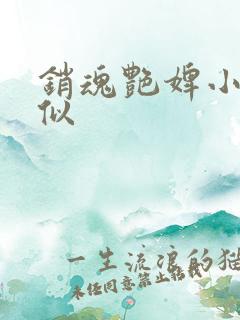 销魂艳婢小说类似