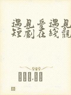 遇见爱遇见幸福短剧在线观看