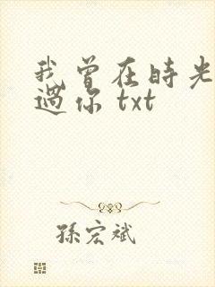 我曾在时光里听过你 txt