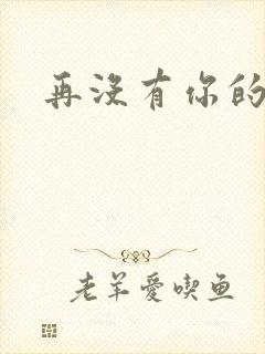 再没有你的温柔