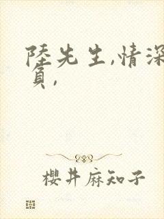 陆先生,情深不负,