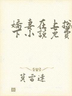 娇妻在上总裁在下小说免费阅读
