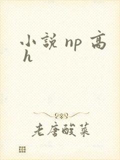 小说 np 高 h