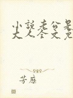 小说老公是腹黑大人全文免费阅读