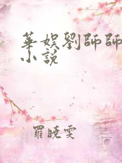 华娱刘师师女主小说