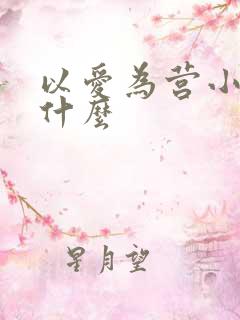 以爱为营小说叫什么