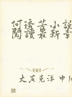 何琇芳小说免费阅读最新章节